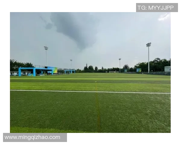 西安飞盘队强势领跑最新耐力排行榜前十名全解析