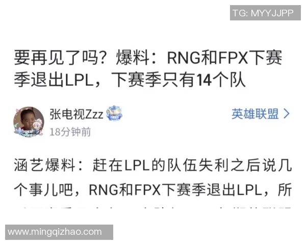 赛后复盘：RNG与JDG对决中的战术意识与决策分析